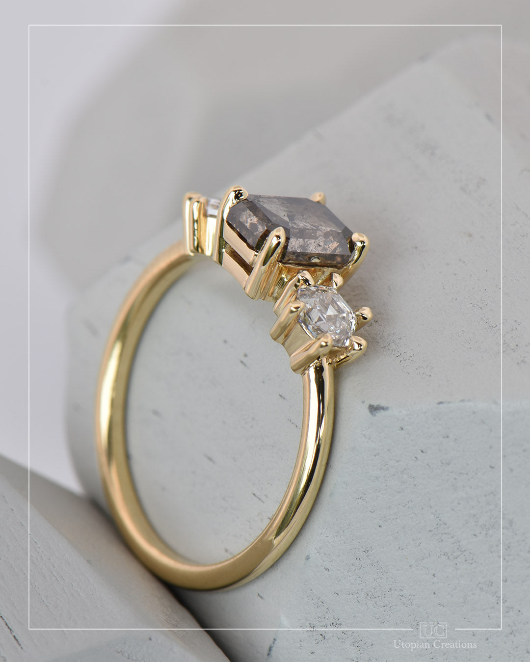 Jatropha - Emerald Cut Salt and Pepper Diamond Ring