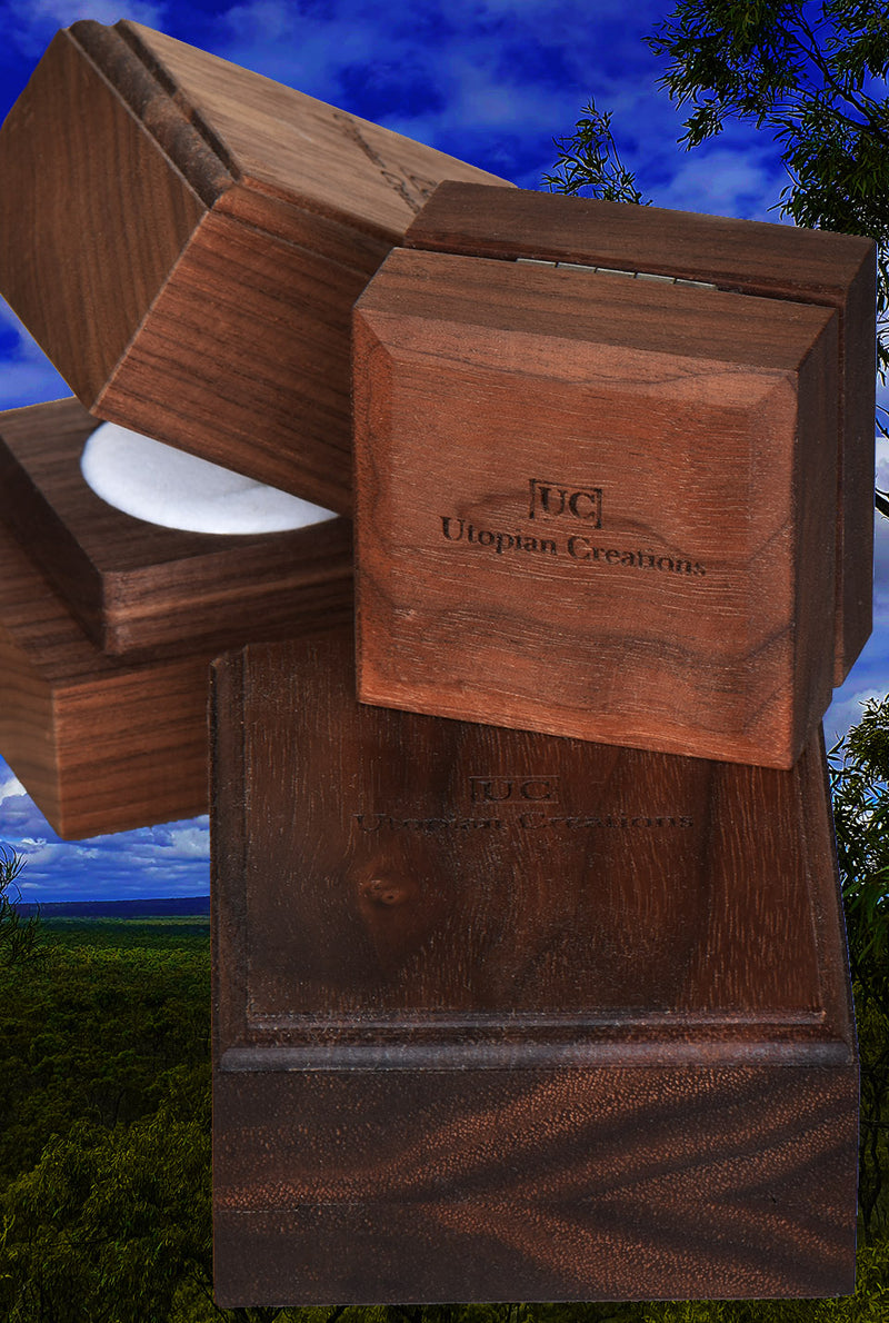 An elegant timber case