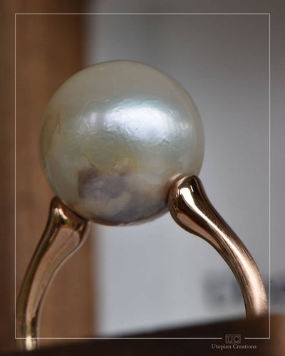 Klaia - Australian South Sea Pearl and Australian Rose Gold Ring