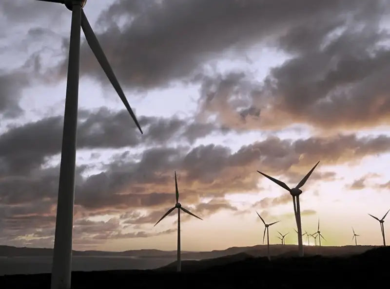 GreenPower and rooftop solar