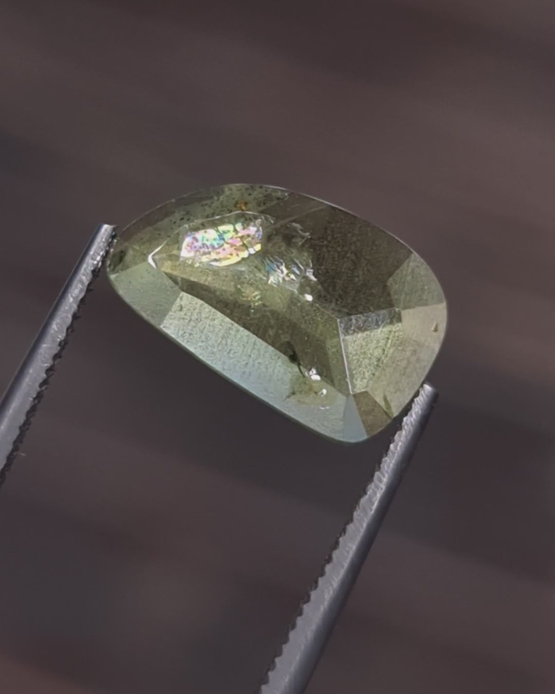 2.58ct Australian Sapphire, Green - Rose cut
