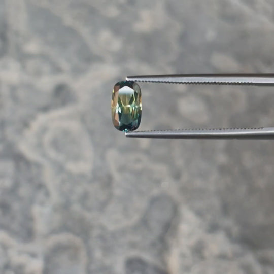1.36ct Australian Sapphire, Parti, Blue, Yellow - Cushion Cut